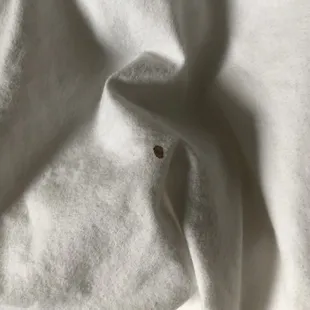 Found blood on my sheets this morning. Not mine...