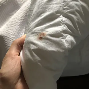 My roommates sheets. Someone attempted to remove the spot it seems..