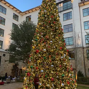 Ginormous Christmas tree- amazing