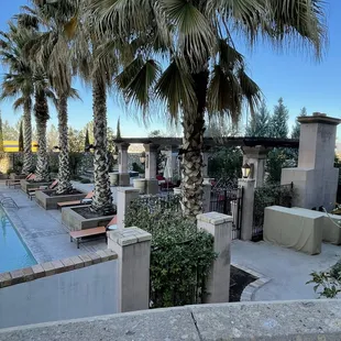Gardens surround the pool &amp; jacuzzi area