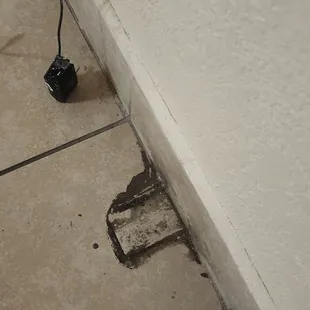Filth on floor