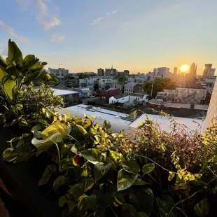 the sun setting over the city