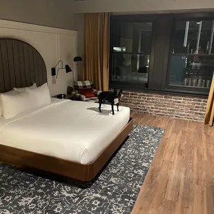 Dog friendly hotel. King bed.