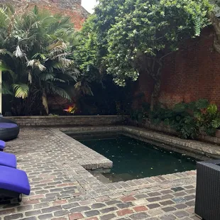 Small pool if you want