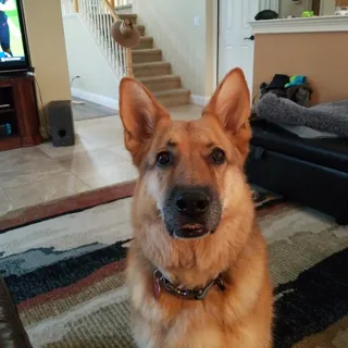Isaac K.