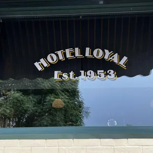 reflection in window