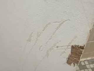 Heart of Manteo Motor Lodge