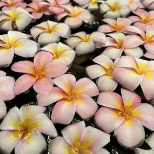 lovely water feature in lobby