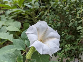 Eve's Garden B & B and Ecology Resource Center