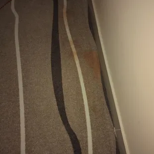Dirty carpet.