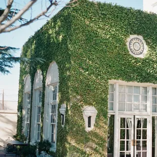 the ivy-covered walls of the courtyard
