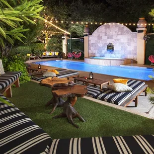 Hotel ZaZa Dallas Uptown | Poolside