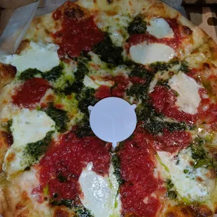 Winterita - 10" size