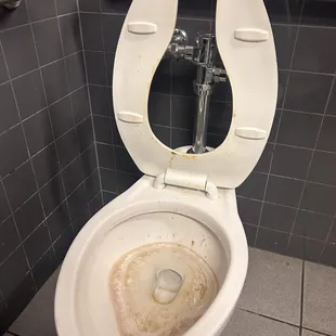 a dirty toilet