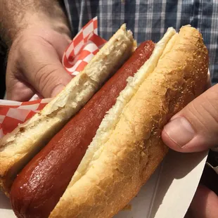 a person holding a hot dog