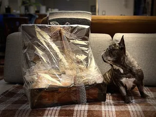 The Comforts of Home