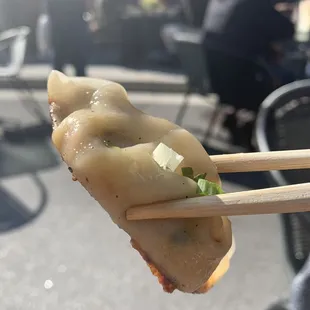 Vegan Potstickers