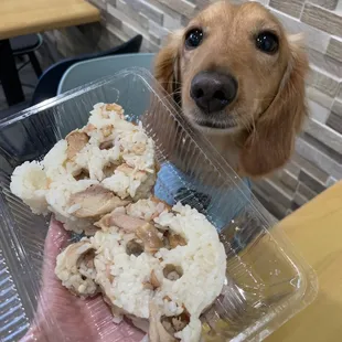 bagels