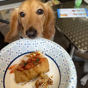 food