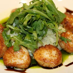 Scallops