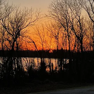 Levee sunset