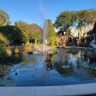 Pond