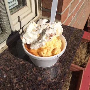Apple Pie Alamode!! yummy