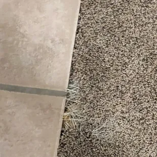 Ripped carpet