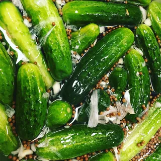 Half-Sour Pickle