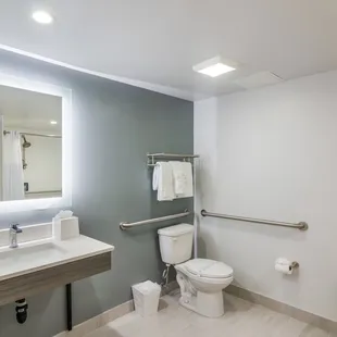 Accessible Restroom, Roll-In Shower
