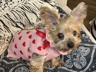 Gainesway Small Animal Clinic