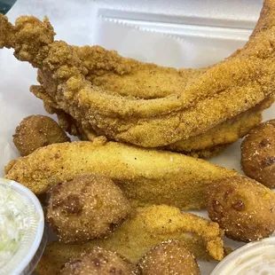 oysters and mussels, food