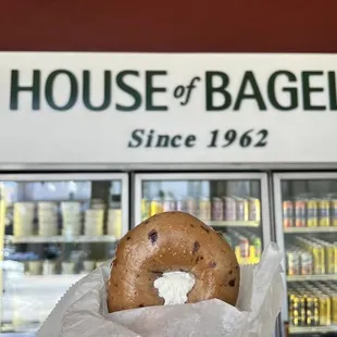 Blueberry cream cheese bagel