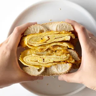 Egg &amp; cheese Omelette