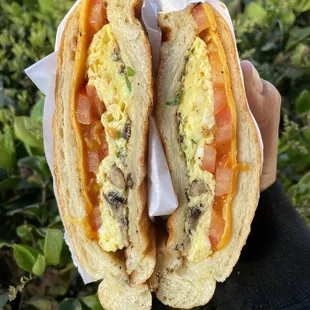 a person holding a sandwich