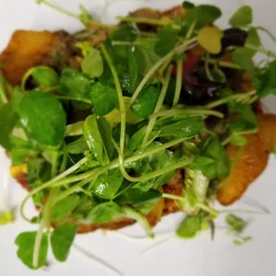 a close up of a plate of food