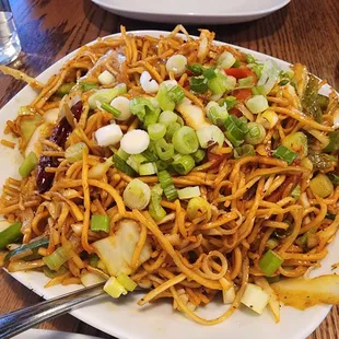 Schezwan Noodles veg