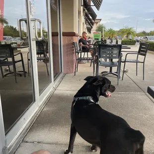 Lune wants his whiskey!