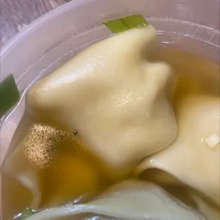 I just wanted some Wonton Soup but as I was opening the top I found a bug in the broth.