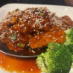 Mongolian Beef Dinner- comes with rice