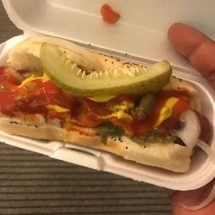 Jumbo dog