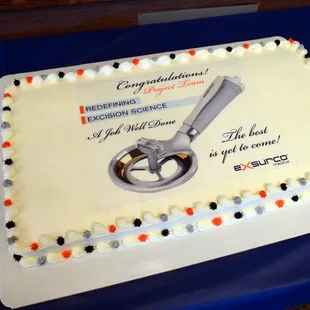 Beautiful cake commissioned to celebrate a product launch.