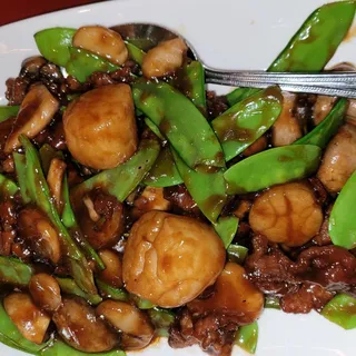 Scallop and Beef