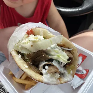 Gyro Combo