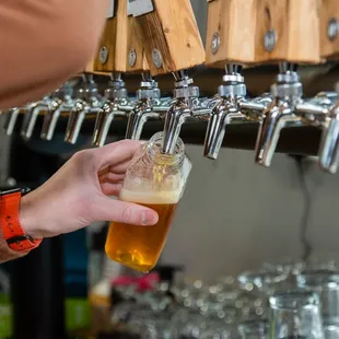 a person holding a pint of beer