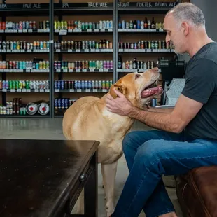 a man petting a dog