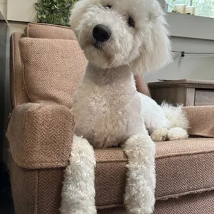 Can you even? All the sass from this cutie.