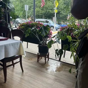 Beautiful view of the Gazebo on Medina Square!!!