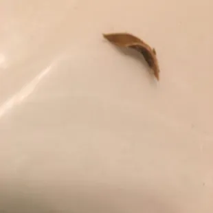 What I ate then choked up because it was hard