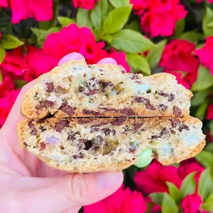Cross section of Pastel M&amp;M Chocolate Chip Cookie